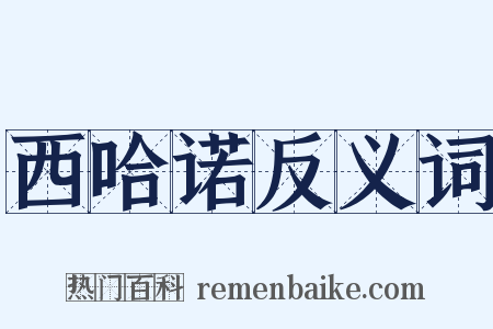 西哈诺反义词是什么意思的图片